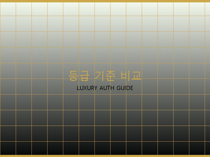 미러급 레플리카 사이트 등급 기준 비교